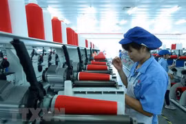 Ảnh minh họa. (Nguồn: TTXVN)