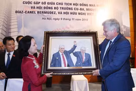 (Ảnh: Lâm Khánh/TTXVN)