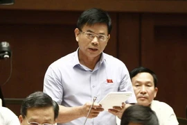 Đại biểu Quốc hội tỉnh Bình Dương Nguyễn Thanh Hồng chất vấn các thành viên Chính phủ. (Ảnh: Văn Điệp/TTXVN)