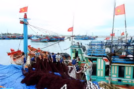 Ông Nguyễn Quốc Chinh (thứ hai từ trái sang) - Chủ tịch Nghiệp đoàn nghề cá xã An Hải hướng dẫn ngư dân tìm hiểu luật biển và kiến thức đánh bắt hải sản. (Ảnh: Minh Hằng/Vietnam+)