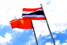 (Nguồn: Vietnam Insider)