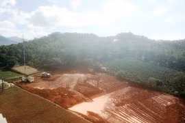 Hàng trăm mét vuông đất rừng tại hồ Đan Kia-Suối vàng, huyện Lạc Dương (Lâm Đồng) đang bị san ủi trái phép để lấy đất sản xuất. (Ảnh: Đặng Tuấn/TTXVN)