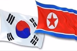 (Nguồn: SBS)