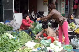 Ảnh minh họa. (Nguồn: Vietnam+)