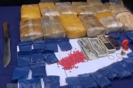 Ảnh minh họa. (Nguồn: TTXVN)