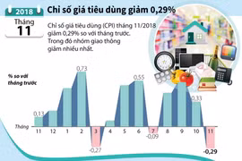 Chỉ số giá tiêu dùng tháng 11 giảm 0,29%