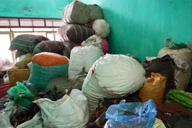 Dược liệu để lộn xộn ngay dưới nền đất ẩm. (Ảnh: An Đăng/TTXVN)