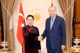 Chủ tịch Quốc hội Nguyễn Thị Kim Ngân hội kiến Tổng thống Thổ Nhĩ Kỳ Recep Tayyip Erdoğan. (Ảnh: Trọng Đức/TTXVN)