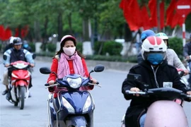 Ảnh minh họa. (Nguồn: TTXVN)