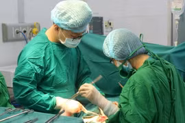 Ảnh minh họa. (Nguồn: TTXVN)