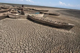 Cảnh khô hạn tại hồ Chilwa ở khu vực Zomba, miền đông Malawi, ngày 19/10/2018. (Ảnh: AFP/TTXVN)