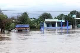 Nhiều nhà cửa của người dân xã Phước Nam, huyện Thuận Nam bị ngập sâu trong nước lũ. (Ảnh: Công Thử/TTXVN)