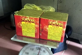 Ảnh minh họa. (Nguồn: TTXVN)