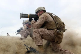 Ảnh minh họa. (Nguồn: militaryphotos.net)