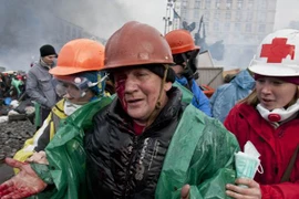 Ông Yanukovych tính nước ra đi, EU phong tỏa tài sản