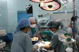 Ảnh minh họa. (Nguồn: TTXVN)