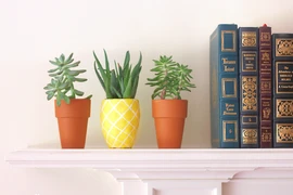 [Photo] Cách tạo nên những khu vườn nhỏ trong ngôi nhà chật hẹp