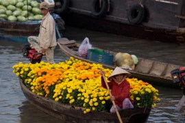 [Photo] Sắc Xuân trên chợ nổi Cái Răng những ngày giáp Tết