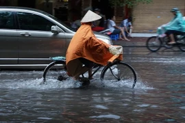 Ảnh minh họa. (Nguồn: TTXVN)