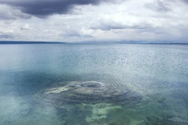 Ảnh minh họa. (Nguồn: 247latestnews.com)