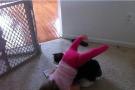 [Photo] Những pha nghịch ngợm tạo nên "thảm họa' của trẻ em