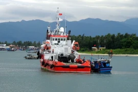 Ảnh minh họa. (Nguồn: TTXVN)