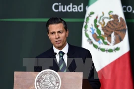 Tổng thống Mexico Enrique Peña Nieto. (Nguồn: AFP/TTXVN)
