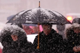 Mỹ: Hơn 1.150 chuyến bay bị hủy sau khi bão tuyết đổ bộ