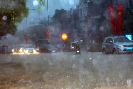 (Ảnh: Văn Đức/Vietnam+)