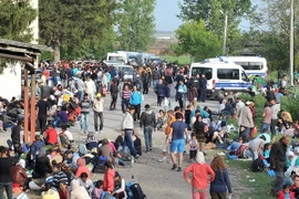 Người di cư đợi tàu tại nhà ga ở thành phố Tovarnik gần biên giới Croatia- Serbia ngày 17/9. (Nguồn: AFP/TTXVN) 