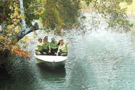 Dự án tăng cường năng lực trong quản lý khu bảo tồn. (Ảnh: Cục Kiểm Lâm)