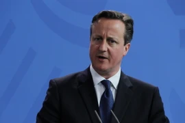 Thủ tướng Anh David Cameron. (Ảnh: AFP/TTXVN)