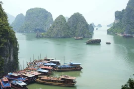 Cần thận trọng với đề xuất lấn biển xây biệt thự ở Vịnh Hạ Long