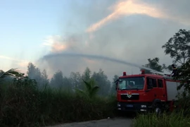 Lào Cai kịp thời dập tắt đám cháy bên Vườn Quốc gia Hoàng Liên