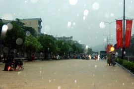 (Ảnh: Văn Đức/Vietnam+)