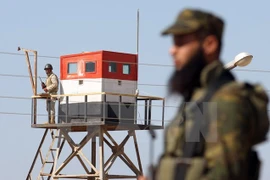 Palestine và Syria nhất trí hành động quân sự chung chống IS 