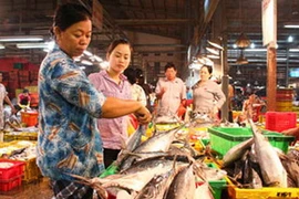 Ảnh minh họa. (Nguồn: Thanh niên)