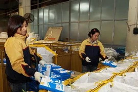 Ảnh minh họa. (Nguồn: TTXVN)