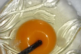 Ảnh minh họa. (Nguồn: Internet)