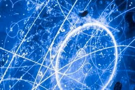 (Nguồn: Internet)