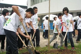 Học sinh trường THPT chuyên Hà Nội-Amsterdam trồng cây xanh. (Ảnh: sgtt.vn)