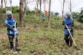 Ảnh minh họa. (Nguồn: TTXVN)