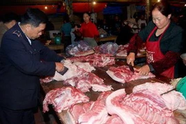 Ảnh minh họa. (Nguồn: TTXVN)