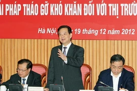 Thủ tướng Nguyễn Tấn Dũng phát biểu kết luận buổi làm việc. (Ảnh: Đức Tám/TTXVN)