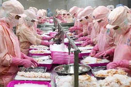 Dây chuyền chế biến tôm đông lạnh xuất khẩu. (Ảnh: Trần Việt/TTXVN)