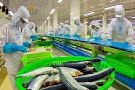 Thủy sản là mặt hàng xuất nhập khẩu chính giữa VN-Liên minh Hải quan. (Nguồn: TTXVN)