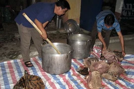 Các đối tượng đang tổ chức giết mổ và nấu cao hổ. (Nguồn: Dân trí)