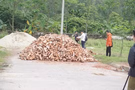 Hiện trường nơi cháu D. bị đàn chó tấn công chiều tối 3/4 (Ảnh: PV/Vietnam+) 