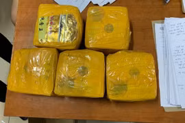 Tang vật của vụ việc. (Ảnh: CTV) 