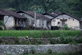 Những ngôi nhà sàn đá ở Khuổi Ky. (Ảnh: PV/Vietnam+)